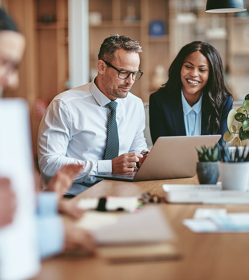 Business Consultants