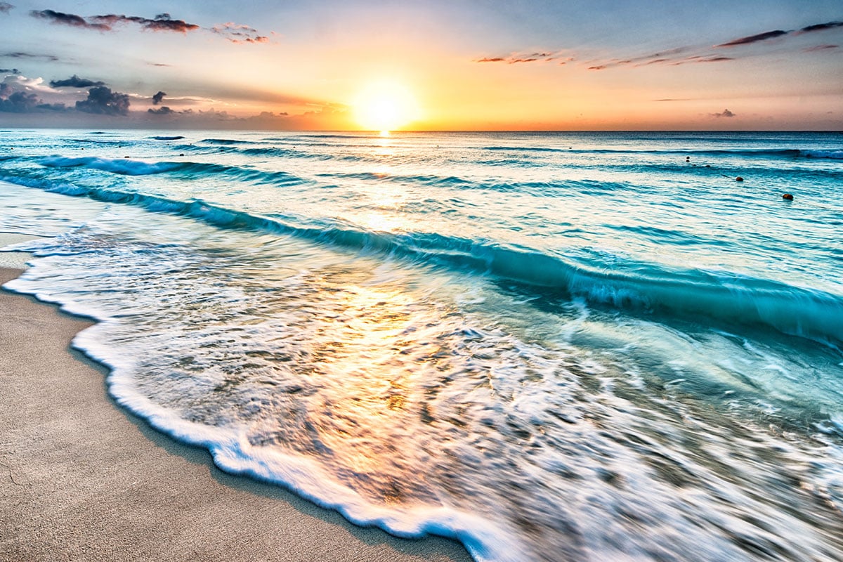 International Rehabilitation Center: SEO Case Study